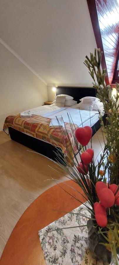 Bükkszék Forras Fogado B&B 외부 사진