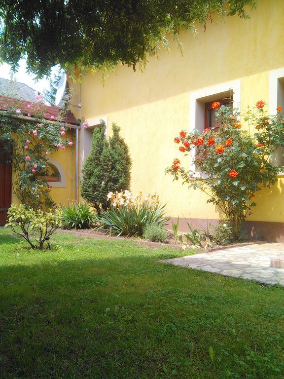 Bükkszék Forras Fogado B&B 외부 사진