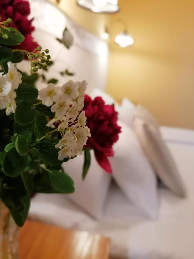 Bükkszék Forras Fogado B&B 외부 사진